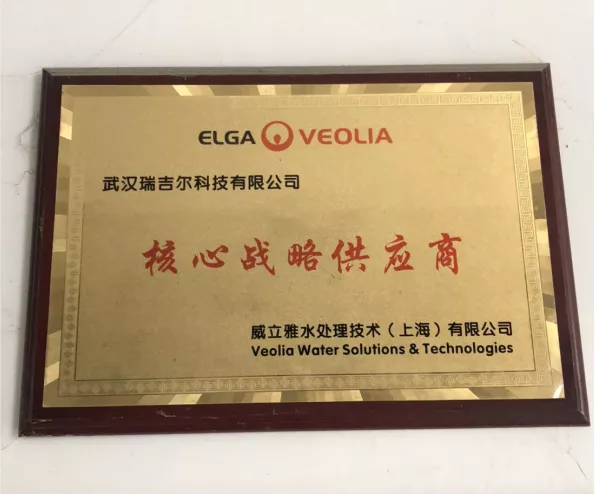 核心战略供应商